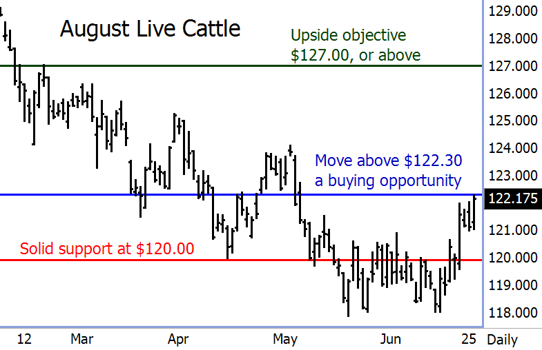August Live Cattle Futures Chart