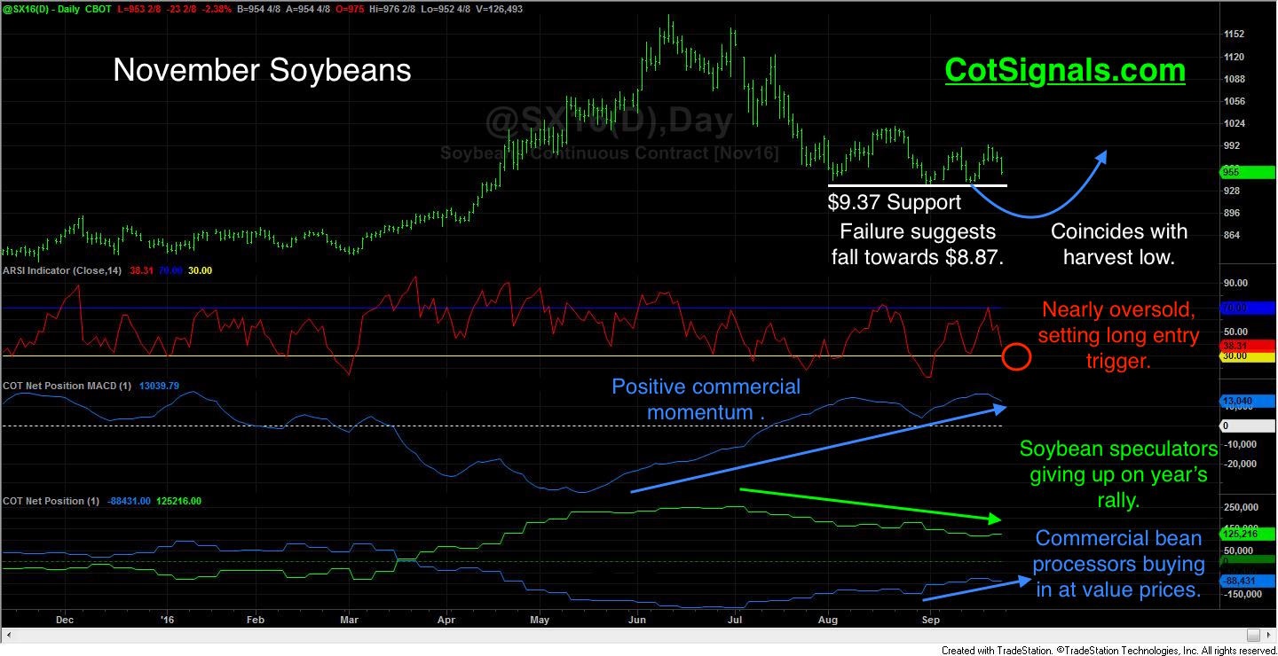 092616_TP_soybeans.jpg