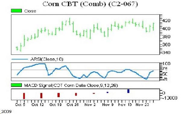 11-30_corn.JPG