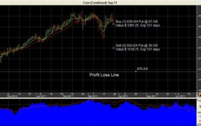 SeptCorn3-29-11.JPG