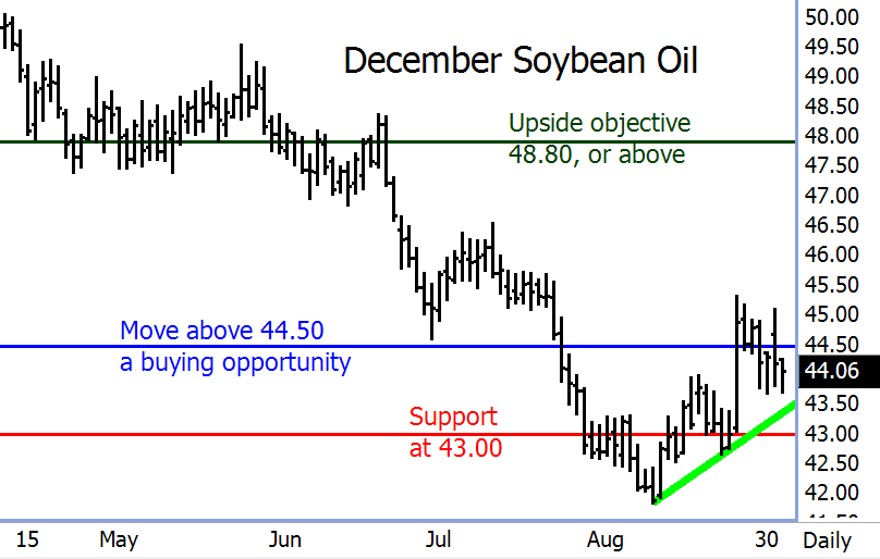 soybean-oil-09042013.gif