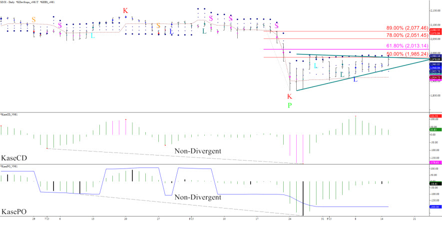 SPX-Fig1.jpg