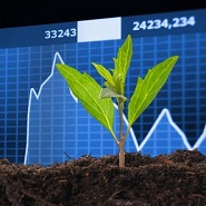 Socially Responsible Investing: Green Bond Fund