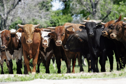 US Stocks: The Bulls Are Back