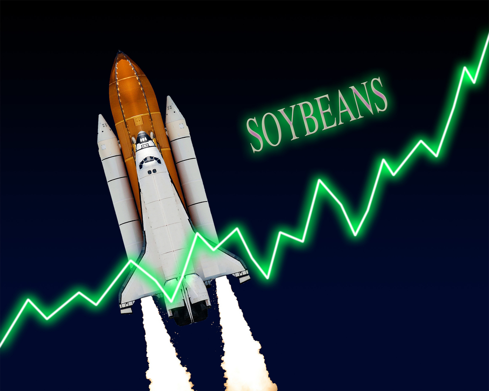 Why Soybeans Matter Now: Bean Rationing