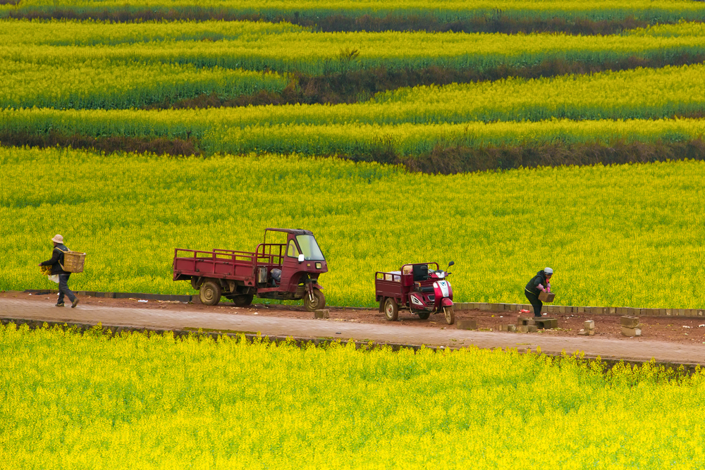 Brazil turning Drier?