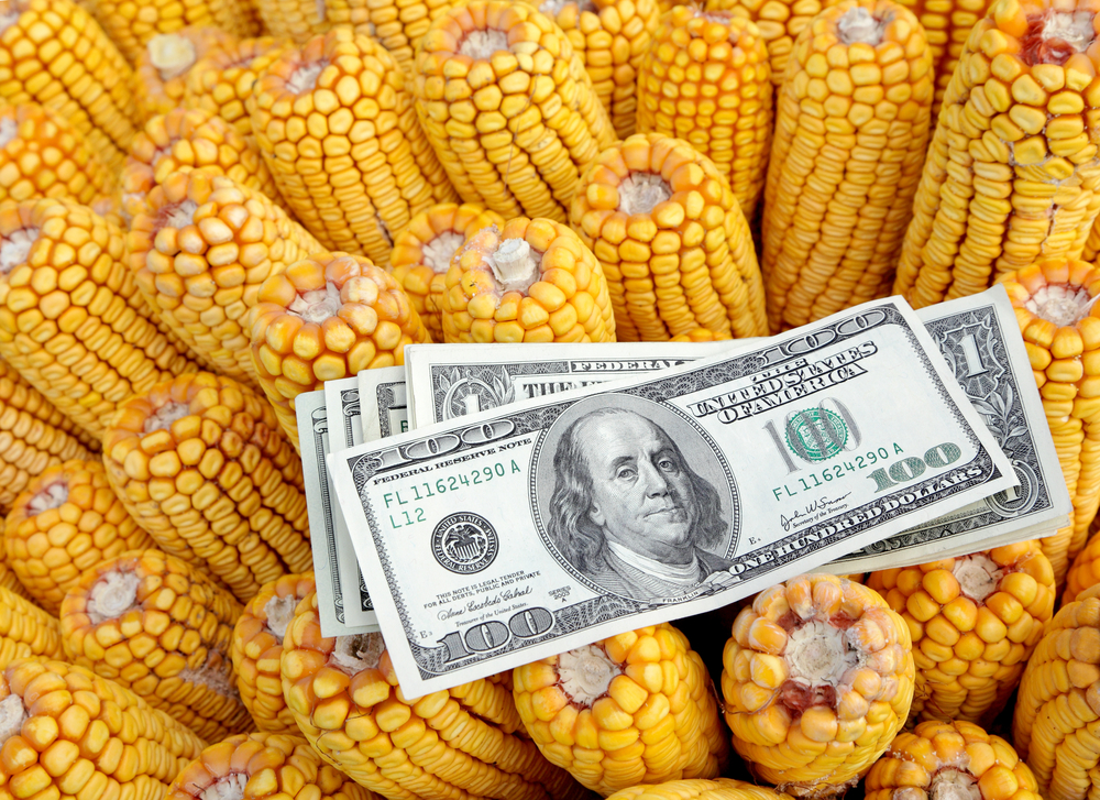 Corn – The Trade Setup of the Year?
