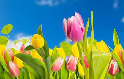 3 Things Every Trader Should Do Each Spring