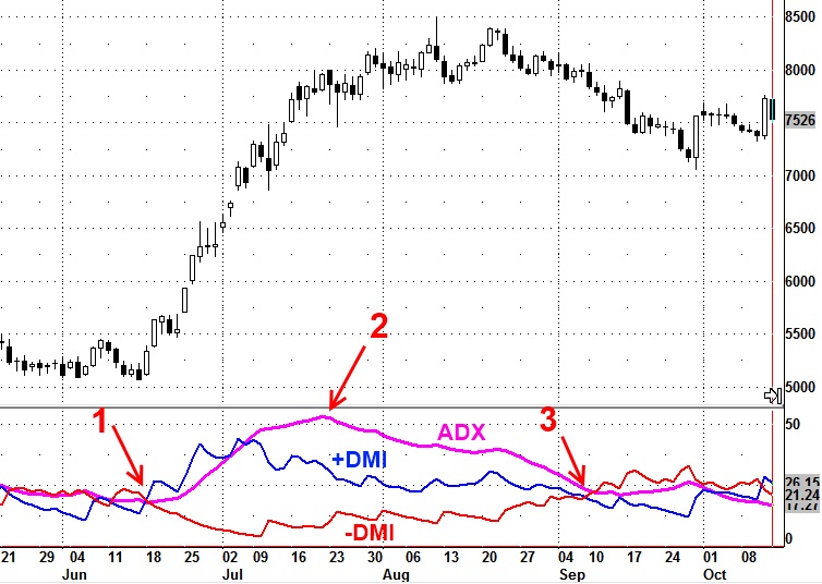 Directional_Movement_Index_Indicator.jpg